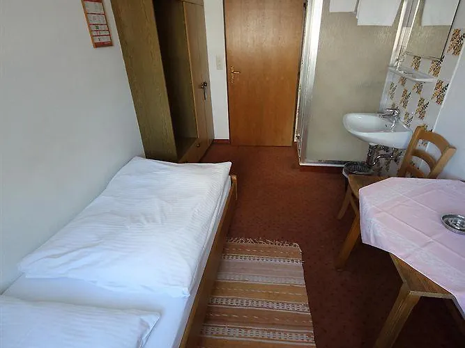 酒店 Kleinmuenchen 林茨