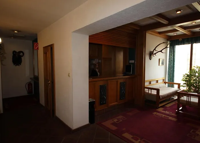 Kleinmuenchen 酒店 林茨